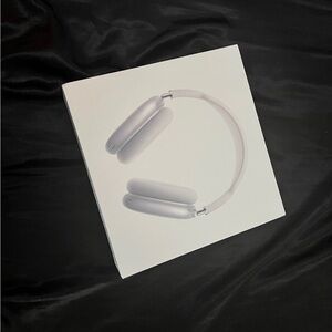 Apple Silver Wireless Headphones
